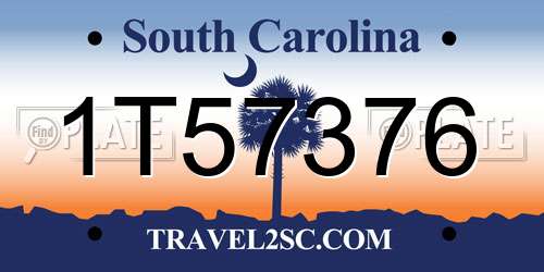 1T57376 South Carolina License Plate