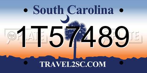 1T57489 South Carolina License Plate