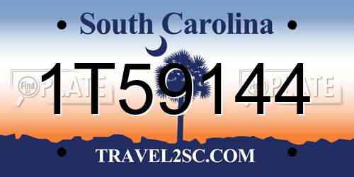 1T59144 South Carolina License Plate