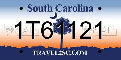1T61121 South Carolina License Plate