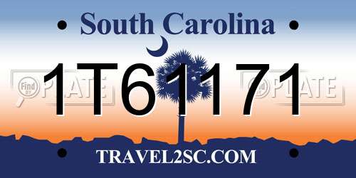 1T61171 South Carolina License Plate