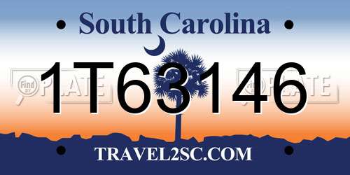 1T63146 South Carolina License Plate