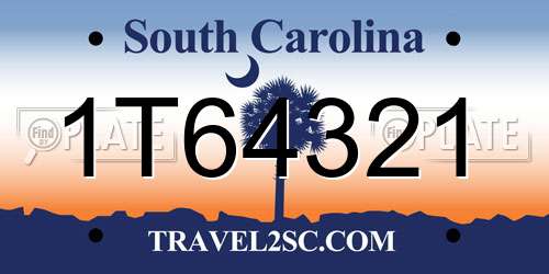 1T64321 South Carolina License Plate