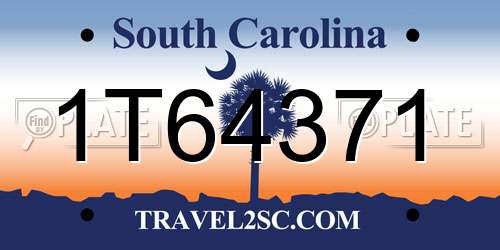 1T64371 South Carolina License Plate