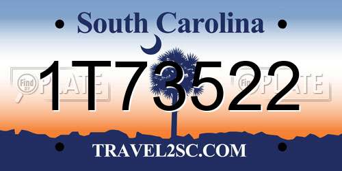 1T73522 South Carolina License Plate