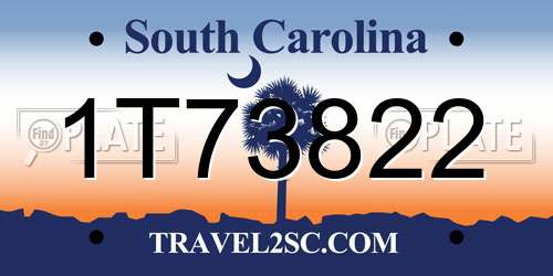1T73822 South Carolina License Plate