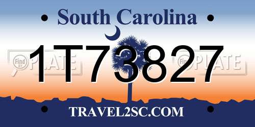 1T73827 South Carolina License Plate