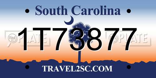 1T73877 South Carolina License Plate