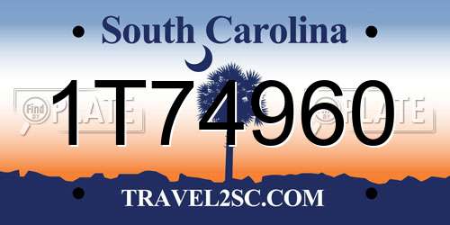 1T74960 South Carolina License Plate