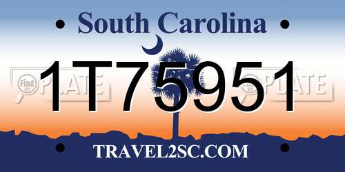 1T75951 South Carolina License Plate