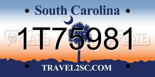 1T75981 South Carolina License Plate