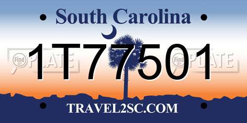1T77501 South Carolina License Plate