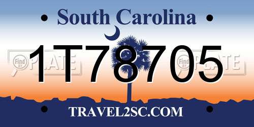 1T78705 South Carolina License Plate