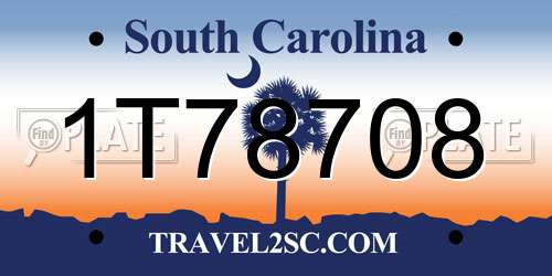 1T78708 South Carolina License Plate