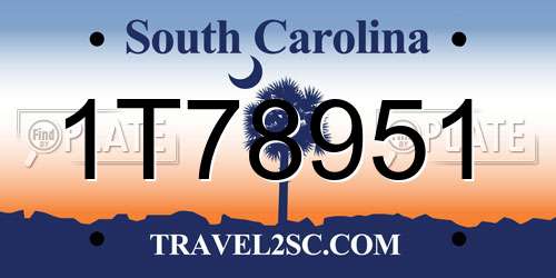 1T78951 South Carolina License Plate