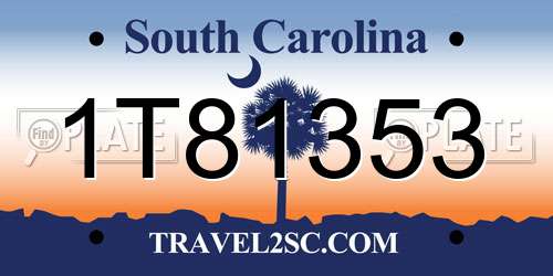 1T81353 South Carolina License Plate
