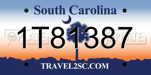 1T81387 South Carolina License Plate