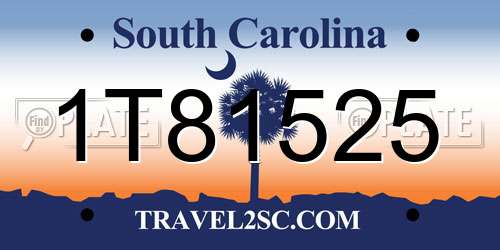 1T81525 South Carolina License Plate