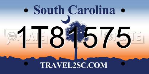 1T81575 South Carolina License Plate