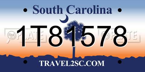 1T81578 South Carolina License Plate