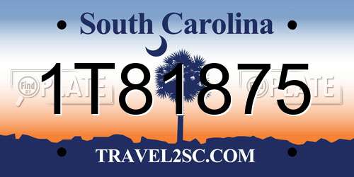 1T81875 South Carolina License Plate