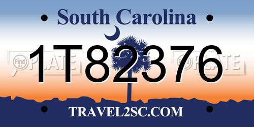 1T82376 South Carolina License Plate