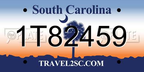 1T82459 South Carolina License Plate