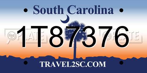 1T87376 South Carolina License Plate