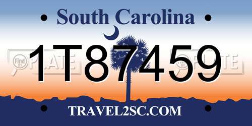 1T87459 South Carolina License Plate