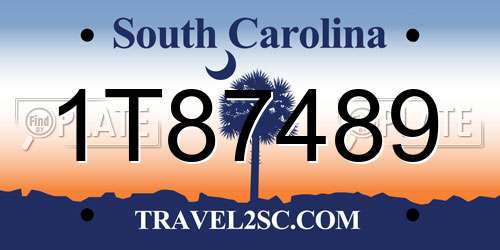 1T87489 South Carolina License Plate