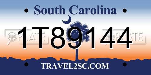 1T89144 South Carolina License Plate