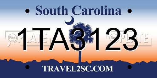1TA3123 South Carolina License Plate