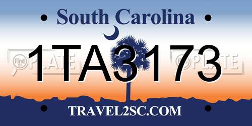 1TA3173 South Carolina License Plate