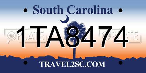 1TA8474 South Carolina License Plate