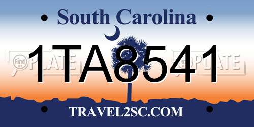 1TA8541 South Carolina License Plate