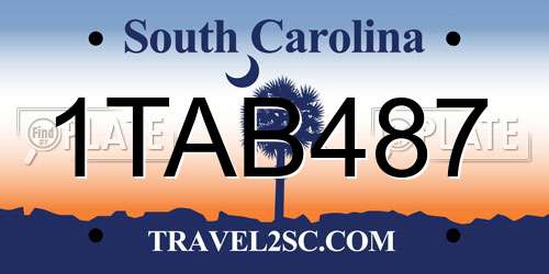 1TAB487 South Carolina License Plate