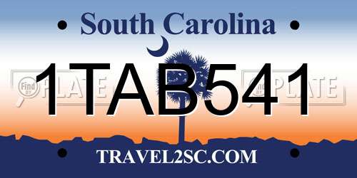1TAB541 South Carolina License Plate