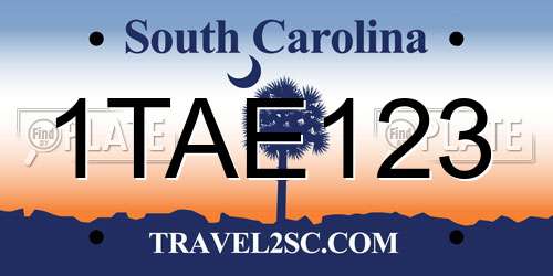1TAE123 South Carolina License Plate