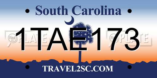 1TAE173 South Carolina License Plate