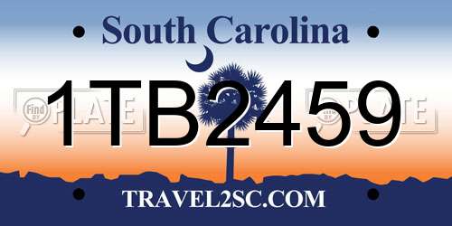 1TB2459 South Carolina License Plate
