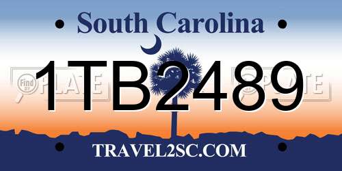 1TB2489 South Carolina License Plate
