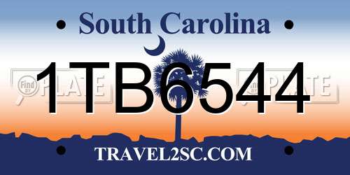 1TB6544 South Carolina License Plate