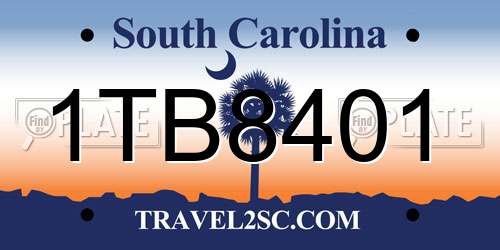 1TB8401 South Carolina License Plate