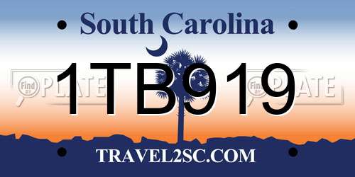1TB919 South Carolina License Plate