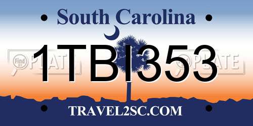 1TBI353 South Carolina License Plate