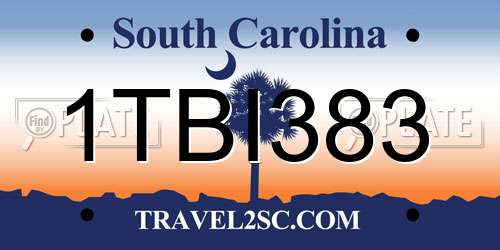1TBI383 South Carolina License Plate