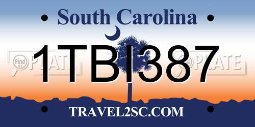 1TBI387 South Carolina License Plate