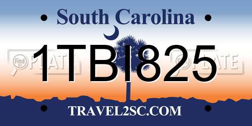 1TBI825 South Carolina License Plate