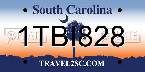 1TBI828 South Carolina License Plate