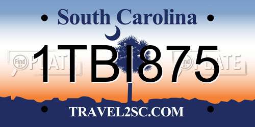 1TBI875 South Carolina License Plate